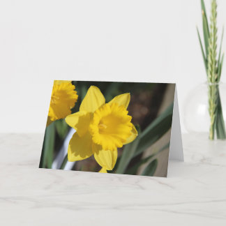 Sunny Daffodil Card