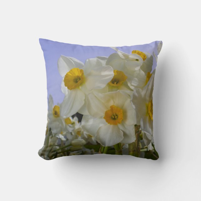 Sunny Daffodils! Cushion (Front)
