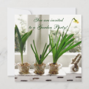 Sunny Daffodils in window Invitation