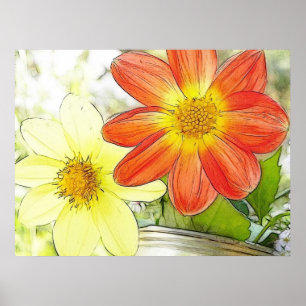 Sunny Dahlias Poster