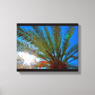 Sunny Date Tree Canvas Print