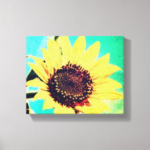 Sunny Day, A Sunflower Canvas Print