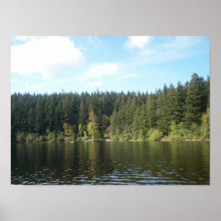 Sunny Day at Lake Padden Poster