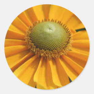 Sunny Day Classic Round Sticker