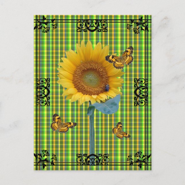 Sunny Day Postcard (Front)