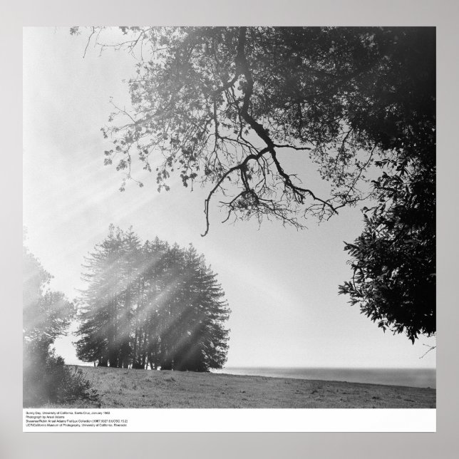 Sunny Day, University of California, Santa Cruz Poster (Front)