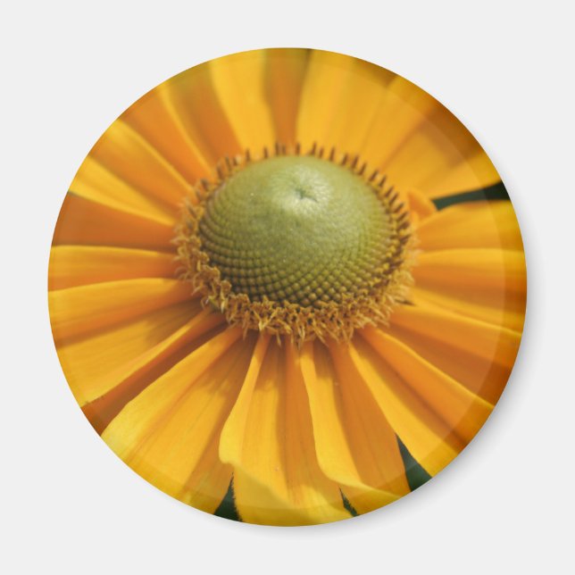 Sunny Day Yellow Gerbera Button Magnet (Front)