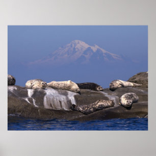 Sunny Days Are Here Again - Fine Art Prints