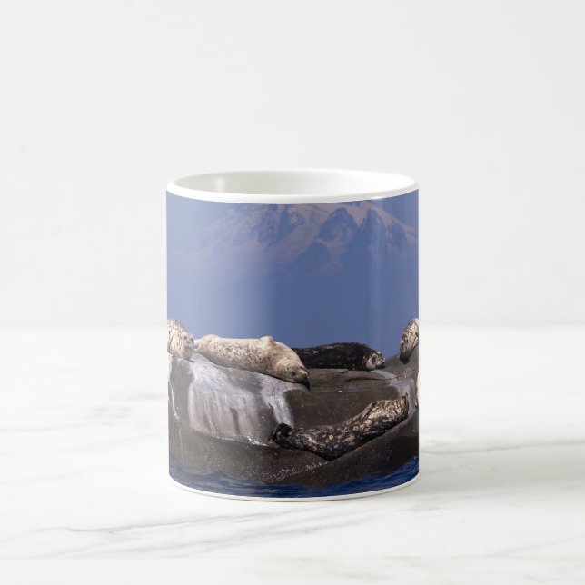 Sunny Days Are Here Again - Mugs (Center)