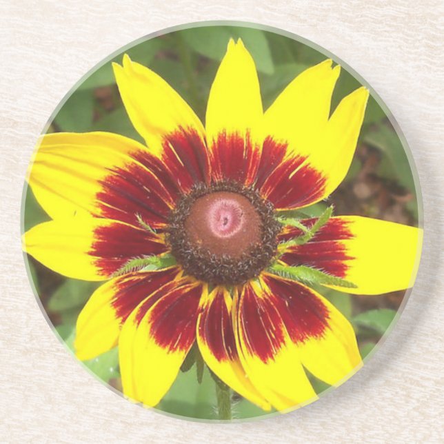 Sunny Daze Photography Logo Coaster (Front)
