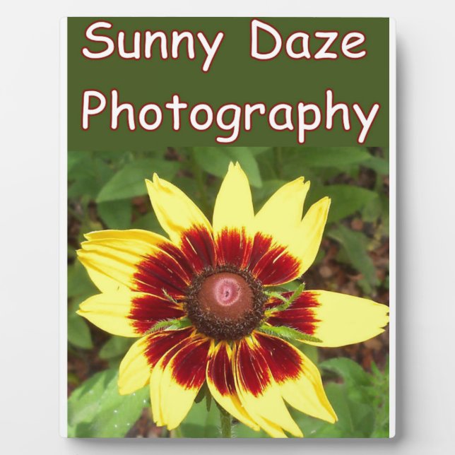 Sunny Daze Photography Logo Plaque (Front)