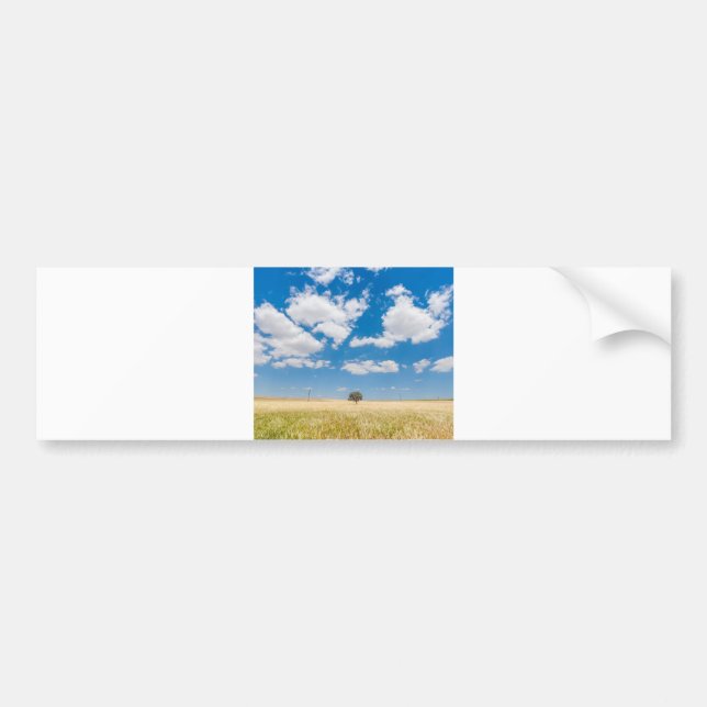 sunny field bumper sticker (Front)