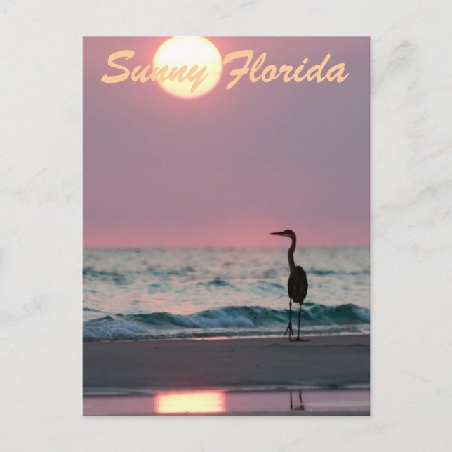 Sunny Florida Postcard (Front)
