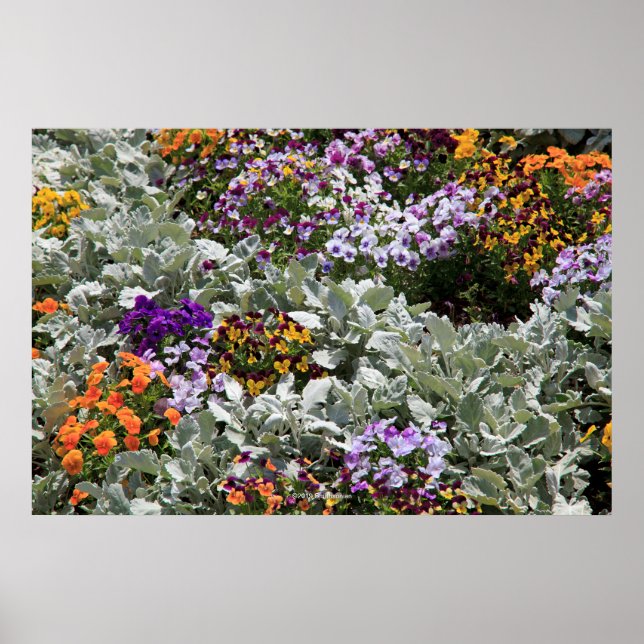 Sunny Flower Garden Poster (Front)