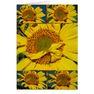 Sunny Flowery Sunshiney Day