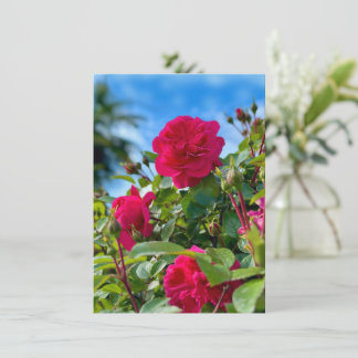 Sunny Garden Floral Photography Card