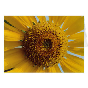 Sunny Giant Yellow Sunflower Greeting Card