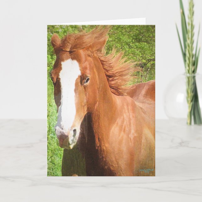 Sunny greeting card (Front)