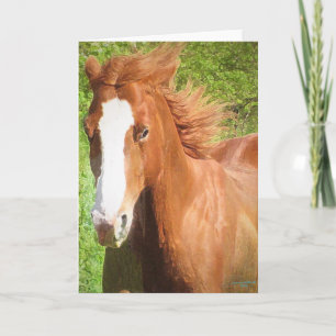 Sunny greeting card