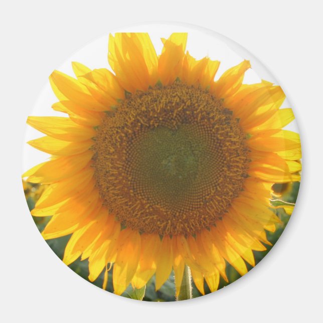 Sunny heart magnet (Front)