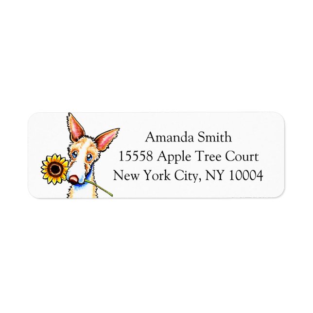 Sunny Ibizan Hound Off-Leash Art™ Custom (Front)