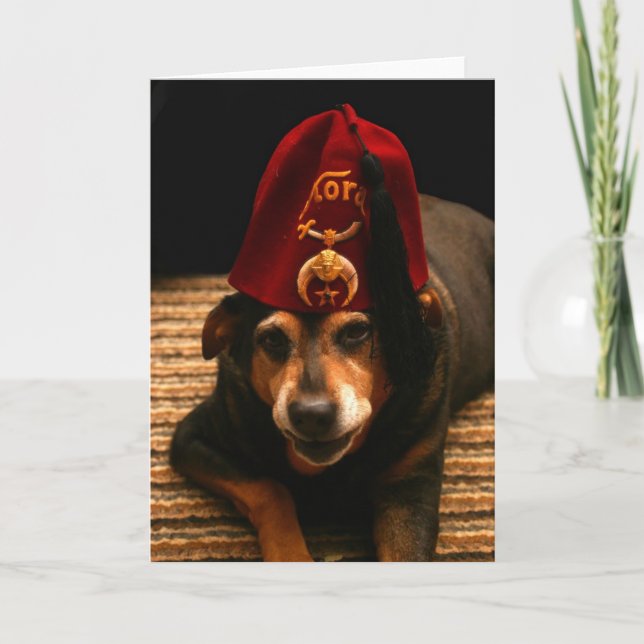 Sunny in a Fez - Greeting Card (blank inside) (Front)