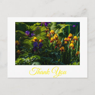 Sunny Iris Flowers Garden Thank You Postcard