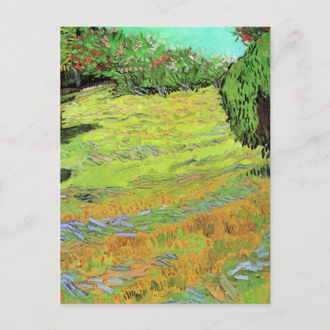 Sunny Lawn in a Public Park by Vincent van Gogh Postcard (Front)