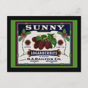 Sunny Loganberry Fruit Postcard