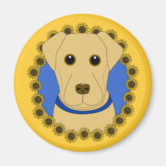 Sunny Magnet
