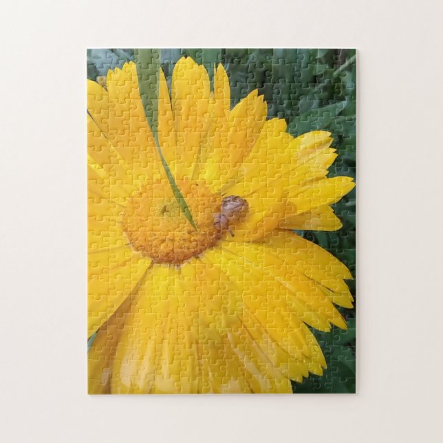 Sunny Marigold Bloom with Tiny Visitor Jigsaw Puzzle (Vertical)