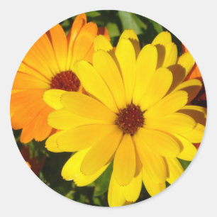 SUNNY MARIGOLDS Stickers