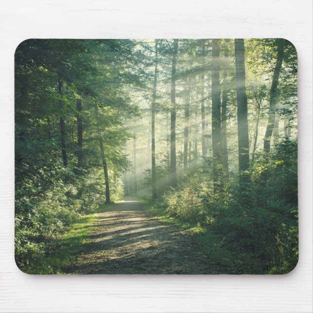 Sunny October Morning in Hamburg Mouse Pad (Front)