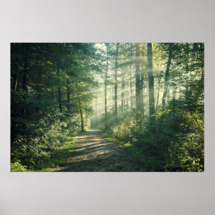 Sunny October Morning in Hamburg Poster