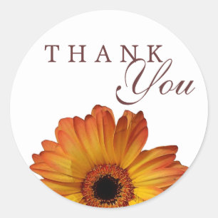 Sunny Orange gerbera daisy flower thank you Classic Round Sticker