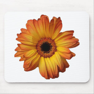 Sunny Orange gerbera flower bloom Mouse Pad
