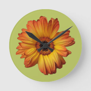Sunny Orange gerbera flower bloom Round Clock
