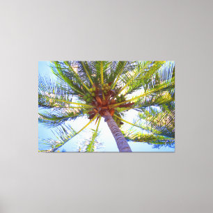 SUNNY PALM 40x60 Canvas Print