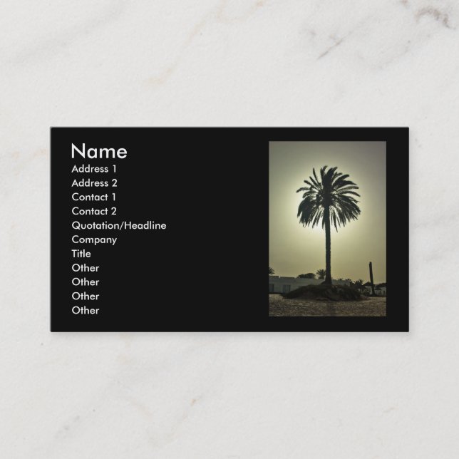 Sunny Palm Business Card (Front)