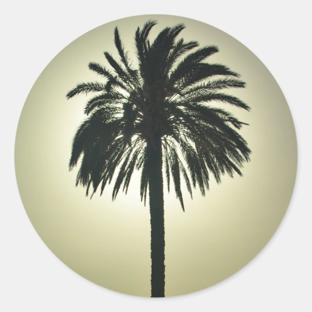 Sunny Palm Classic Round Sticker (Front)