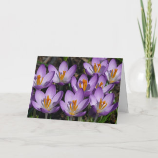 Sunny Purple Crocuses Card