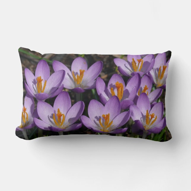 Sunny Purple Crocuses Lumbar Cushion (Front)