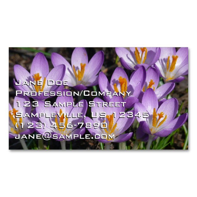 Sunny Purple Crocuses Magnetic Business Card (Front)