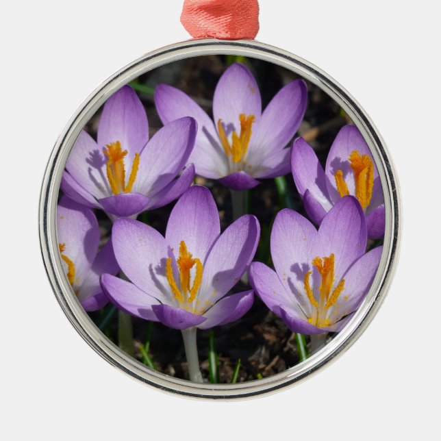 Sunny Purple Crocuses Metal Tree Decoration (Front)