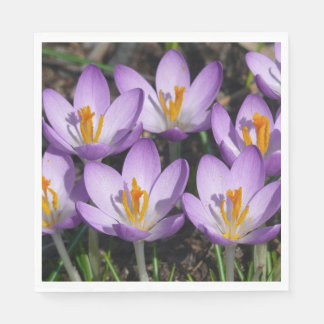 Sunny Purple Crocuses Napkin