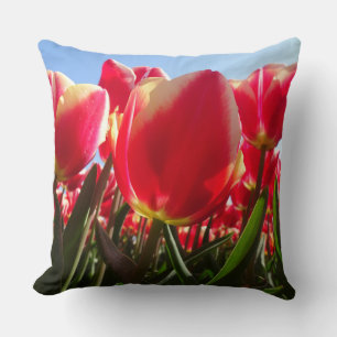 Sunny Red Tulips Close Up Throw Pillow