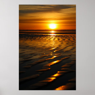 Sunny San Diego Poster