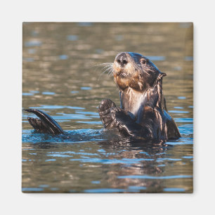 Sunny Sea Otter Magnet