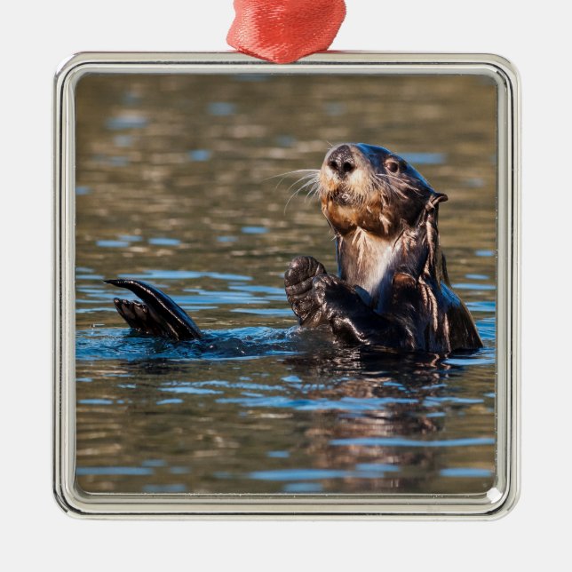 Sunny Sea Otter Metal Tree Decoration (Front)