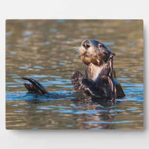 Sunny Sea Otter Plaque